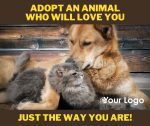 Adopt an Animal Who Will Love You