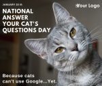 National Answer Your Cat's Questions Day