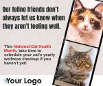 National Cat Health Month