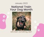 National Train Your Dog Month