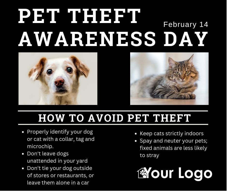 Pet Theft Awareness Day Shelter Roundtable