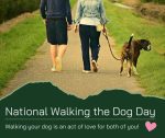 National Walking the Dog Day