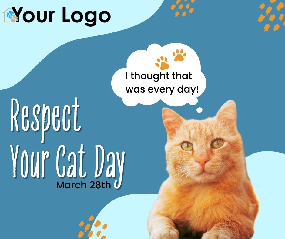 Respect Your Cat Day Shelter Roundtable