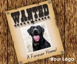 Wanted - A Forever Home