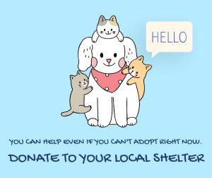 Donate to your local shelter