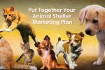 animal shelter marketing plan