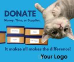 donate money time and supplies to the shelter