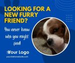 Looking for New Furry Friend?