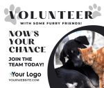 Your Chance to Volunteer