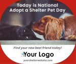 National Adopt A Shelter Pet Day