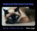 National Siamese Cat Day