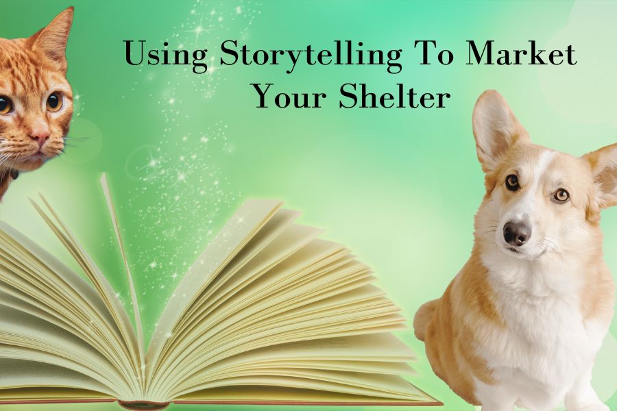 using storytelling to promote animal shelters