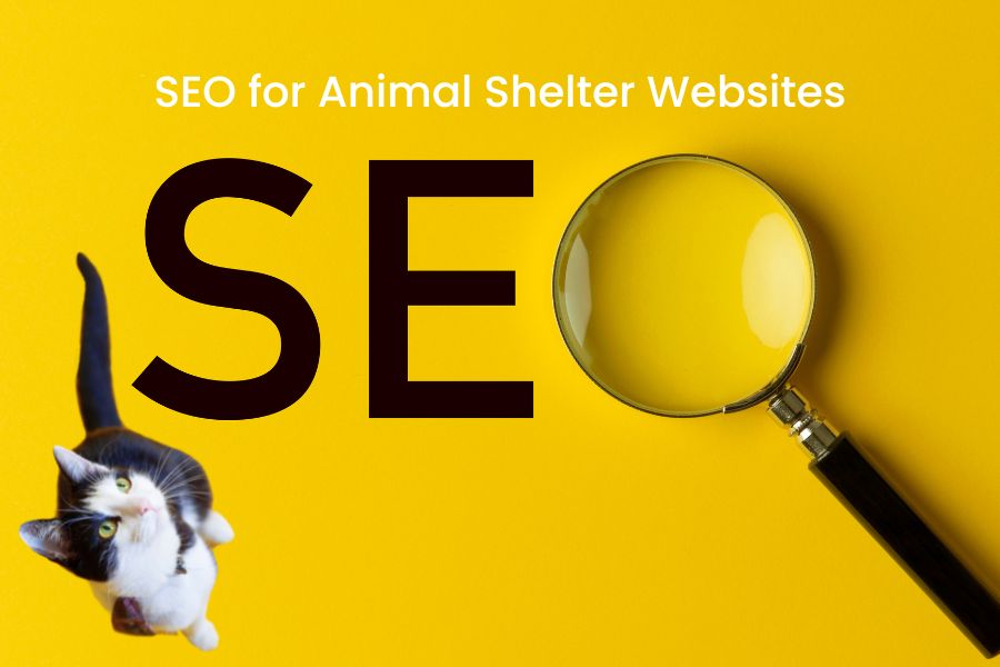 seo for animal shelters and rescues