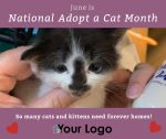 National Adopt a Cat Month