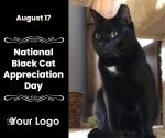 National Black Cat Appreciation Day