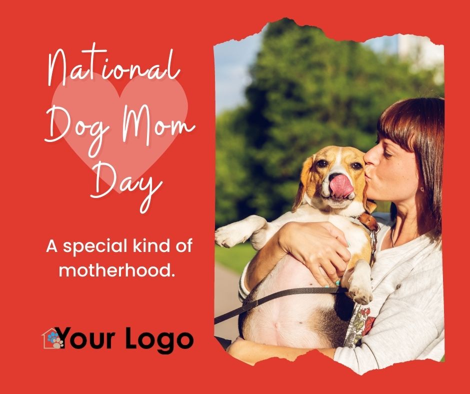 National dog mom day shelter roundtable