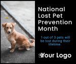 National Lost Pet Prevention Month