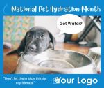 National Pet Hydration Month