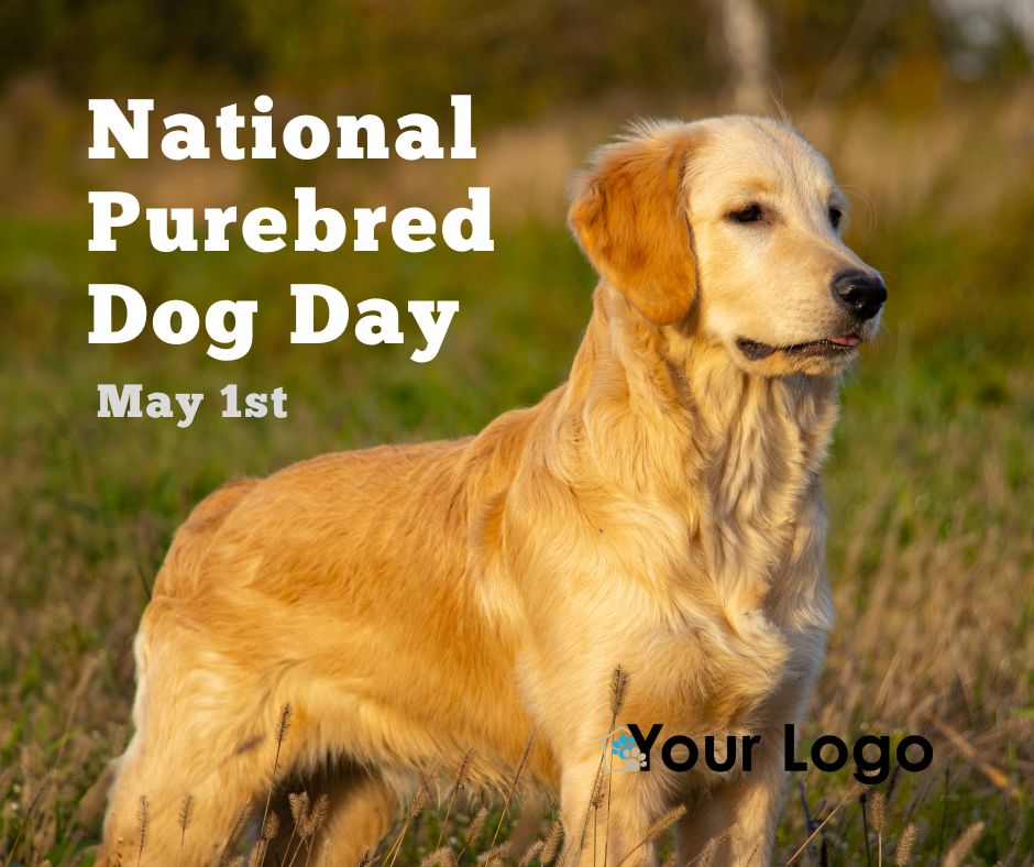 National Purebred Dog Day - Shelter Roundtable