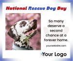 National Rescue Dog Day