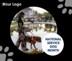 National Service Dog Month