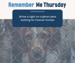 Remember Me Thursday