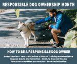 Responsible Dog Ownership Month