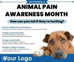 Animal Pain Awareness Month