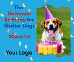 Universal Birthday for Shelter Dogs