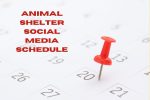 Animal Shelter Social Media Schedule