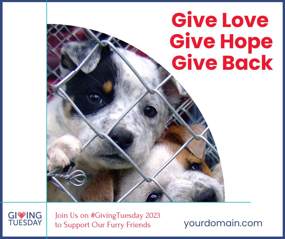 Giving Tuesday Giving Tuesday