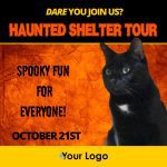 Haunted Shelter Tour