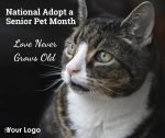 National Adopt a Senior Pet Month