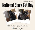 National Black Cat Day