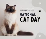 National Cat Day