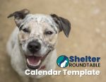 Animal Shelter Marketing Template with Dog