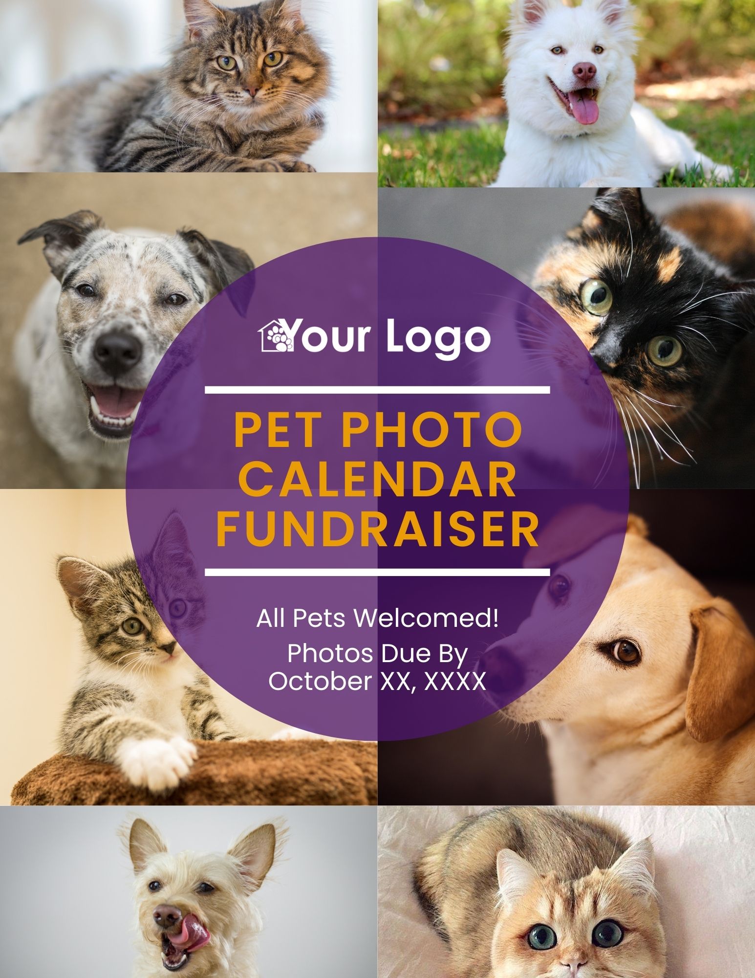 Pet Photo Calendar Fundraiser (8.5 × 11 in)