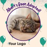 adoption announcement