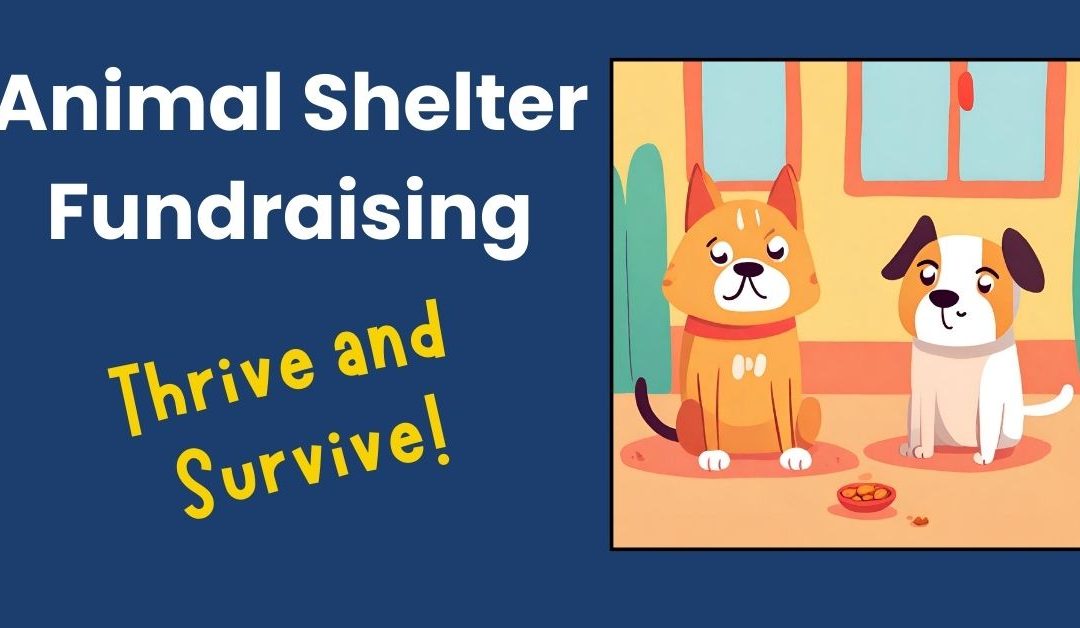 Fundraising Tactics for Animal Shelters