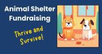 animal shelter fundraising