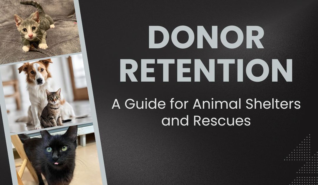 Mastering Donor Retention: A Guide for Animal Shelters and Rescues