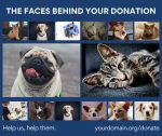 faces behind your donation (facebook post)