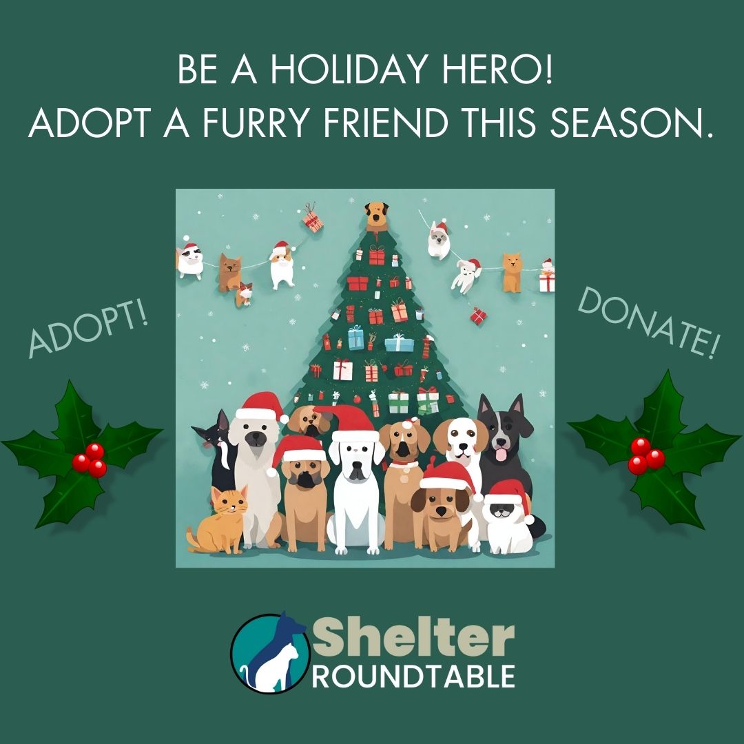 Inspiring Fundraising Slogans for Animal Shelters and Rescues