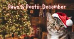 paws and posts december