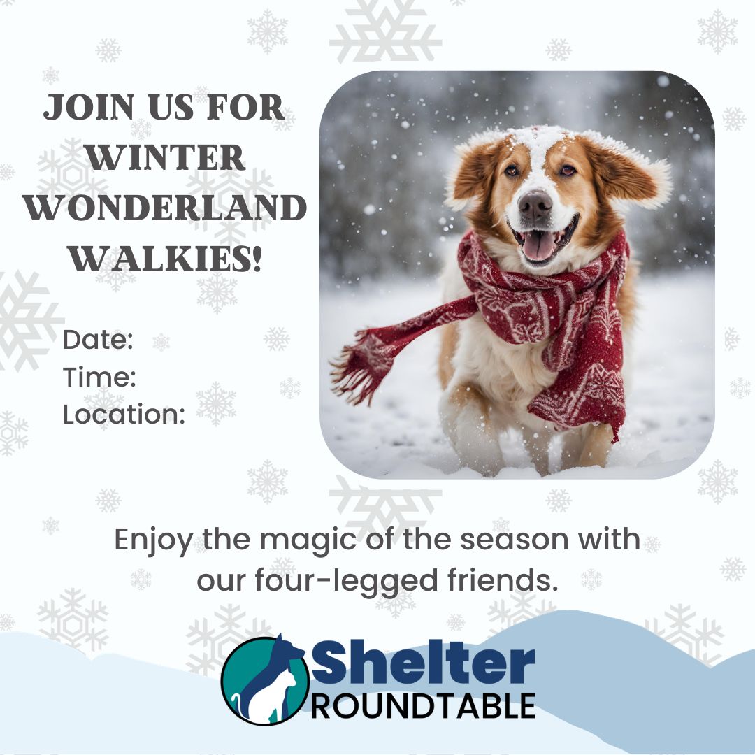 winter wonderland walkies winter wonderland walkies