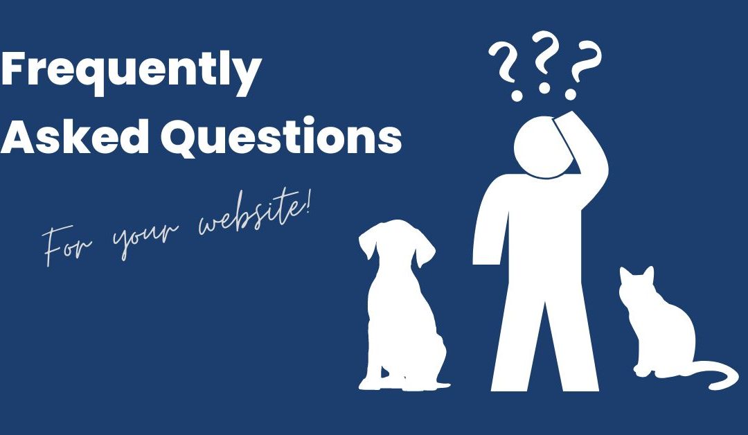 Animal Shelter Content – FAQ Sections for Your Website