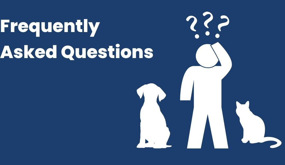 Shelter FAQs – Shelter Policies