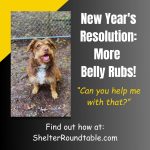 new years belly rubs