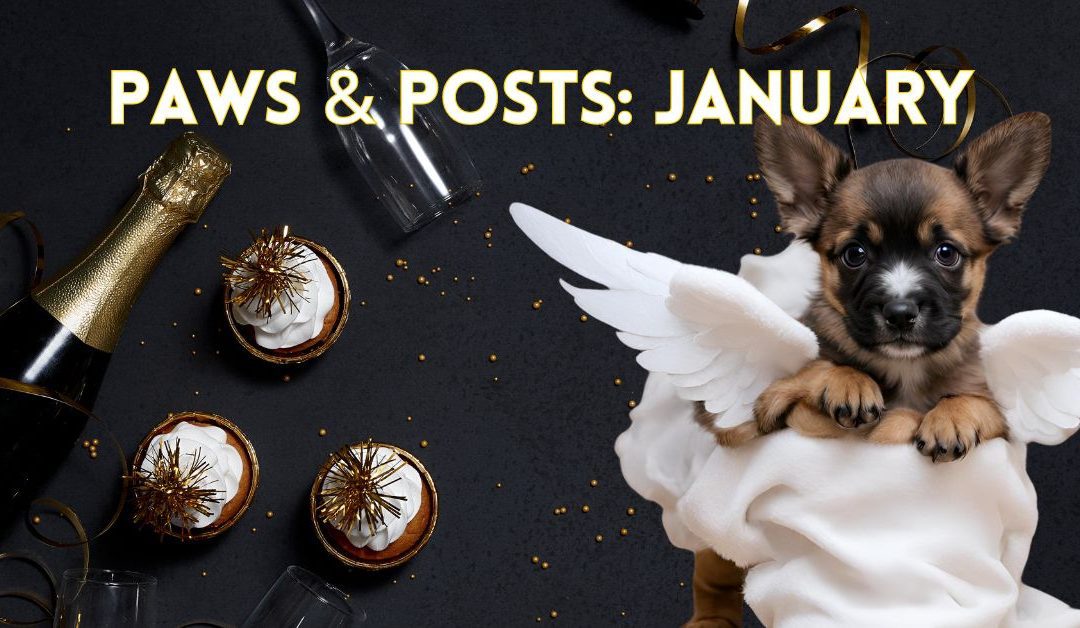 Paws & Posts: January Social Media, Blog, and Video Plan