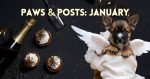 paws posts january